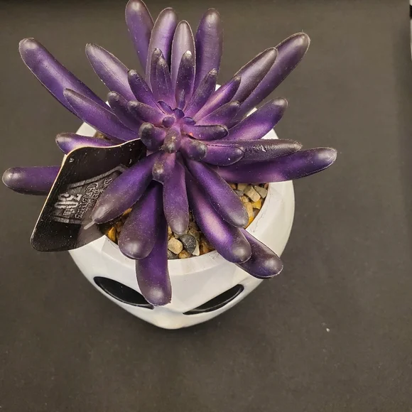 Nightmare before Christmas succulent decor - Picture 6 of 7